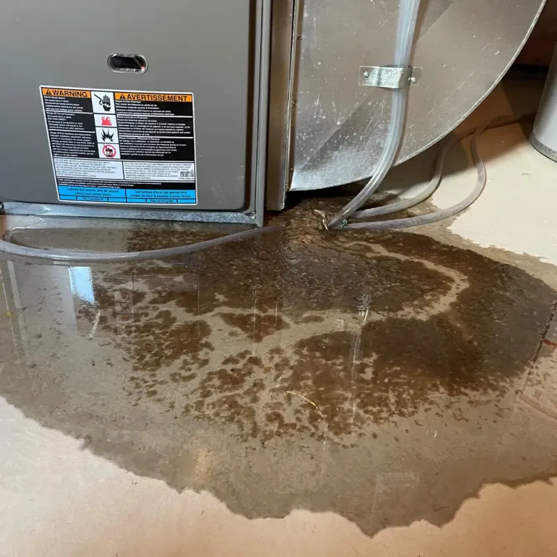 Appliance Leak Cleanup in Frankfort, IN